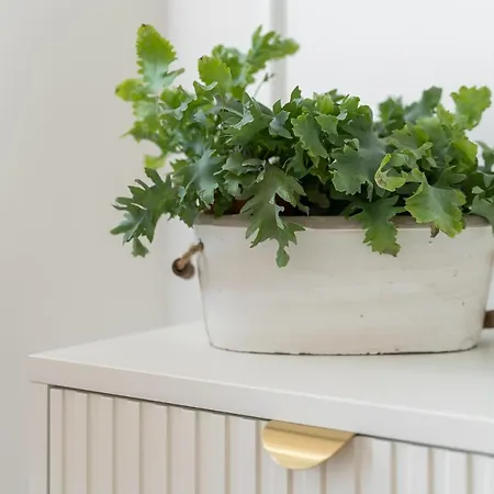 Margi Ariela Lux 17th Floor Pool Sauna 아파트 *