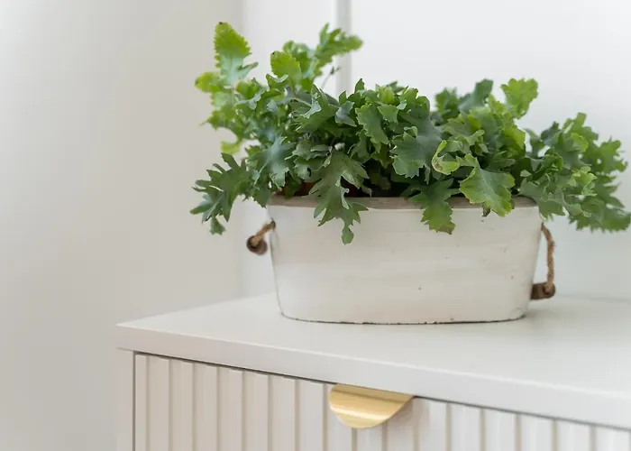 Margi Ariela Lux 17th Floor Pool Sauna Apartament *